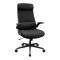 Cougar Stryder Black